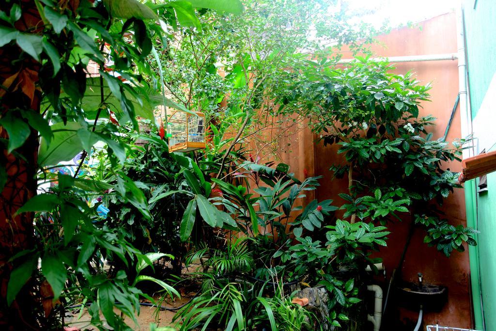 萨尔瓦多埃斯梅拉达鲍萨达宾馆住宿加早餐旅馆 外观 照片